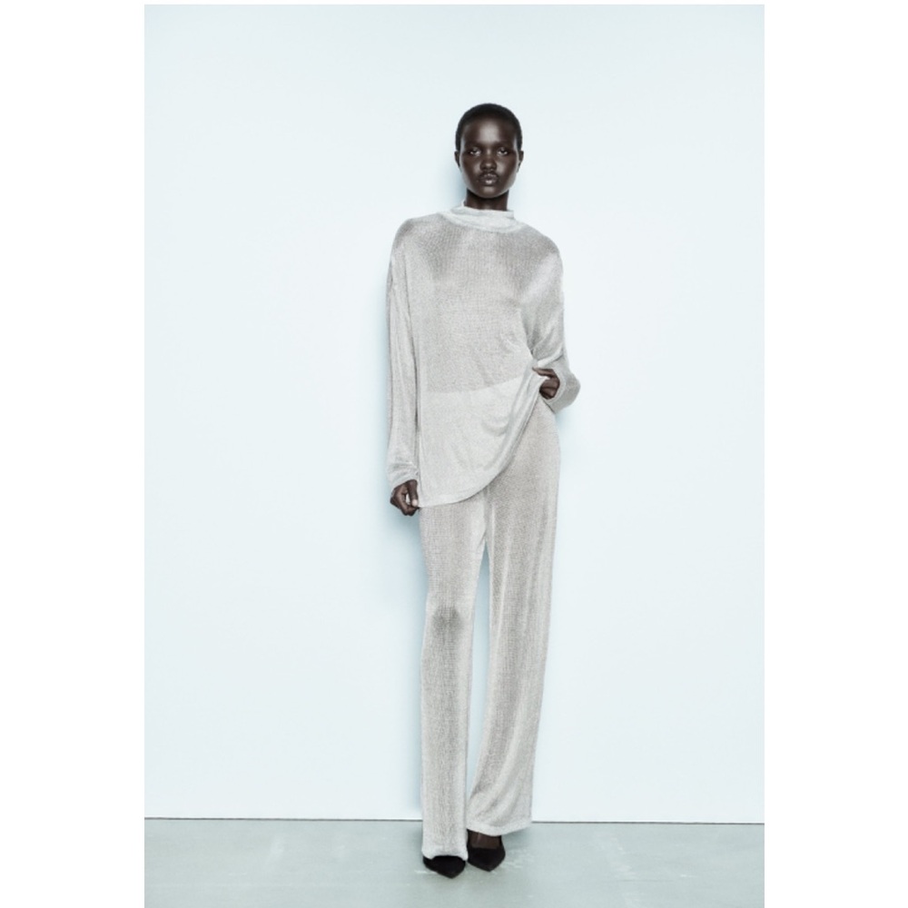 NWT - METALLIC MESH PANTS size small